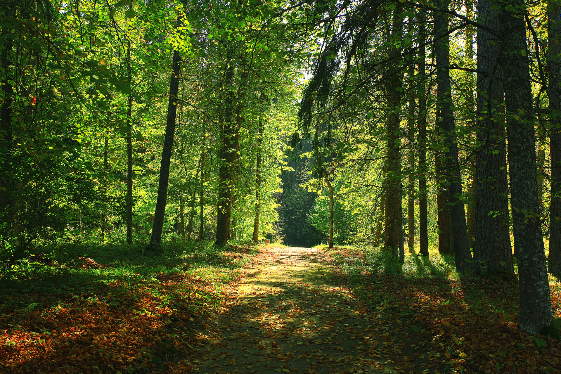 Land Management Consulting