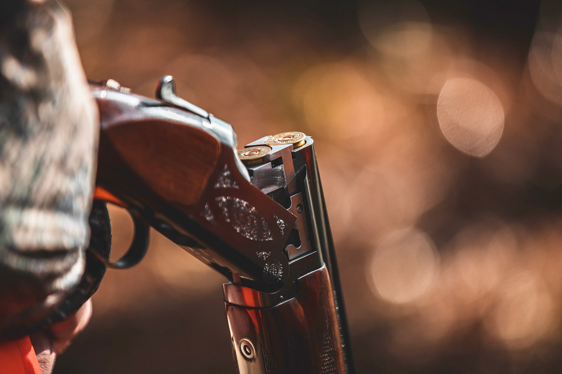 Guided Quail Hunts